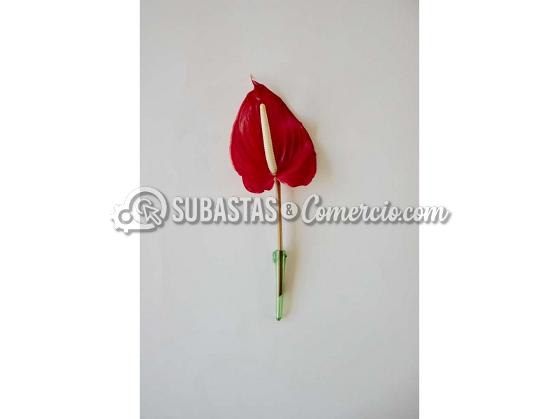 Florero de DC Fórmula - Pieza Dedicada a la Memoria de María, la Abuel